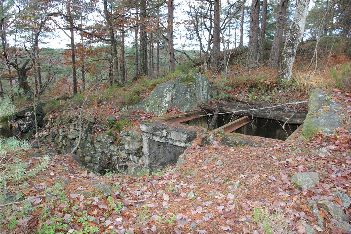 Borkedalsvannet (3).JPG