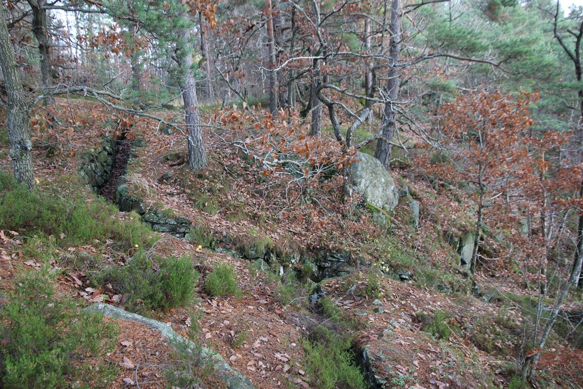 Borkedalsvannet (4).JPG