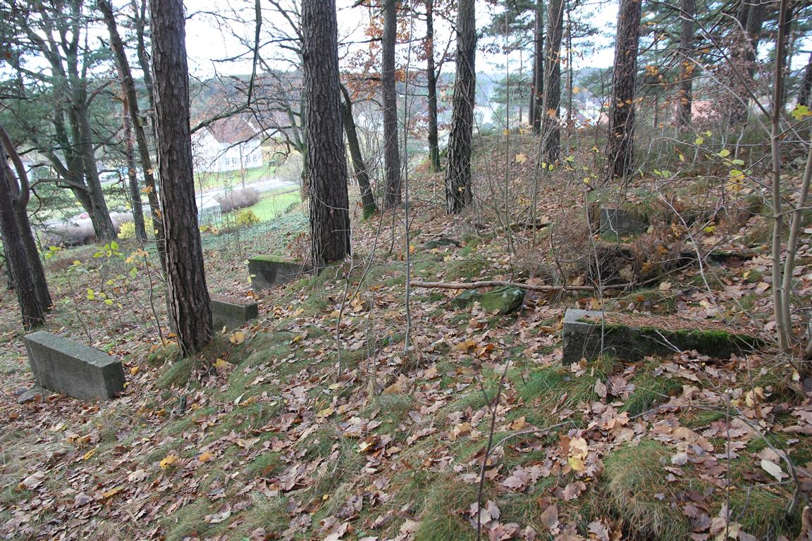 Moglesto (1).JPG