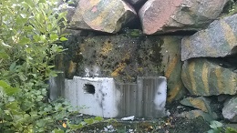 WP_20140928_002.jpg
