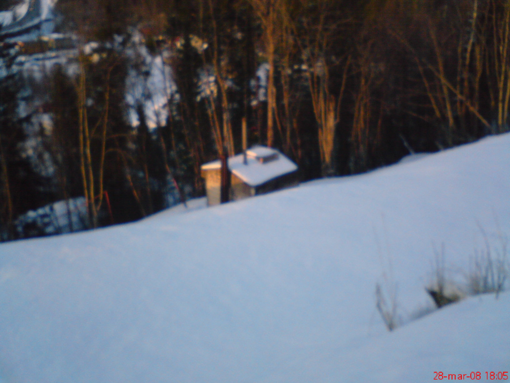 DSC00292.JPG
