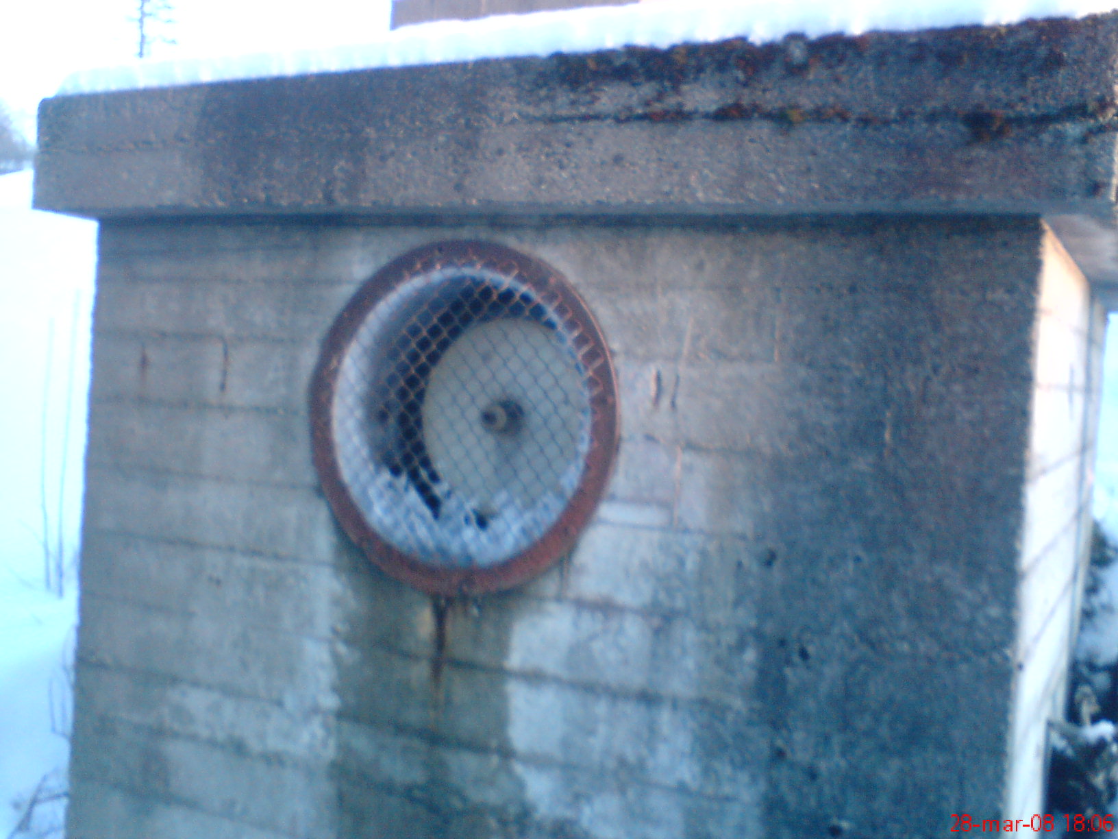 DSC00295.JPG