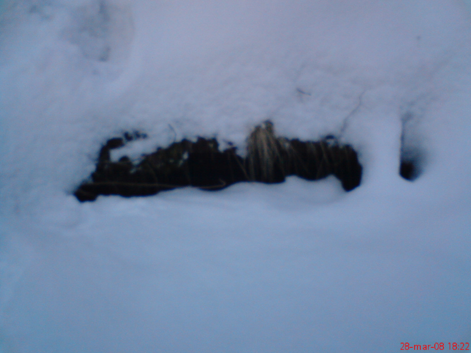 DSC00309.JPG