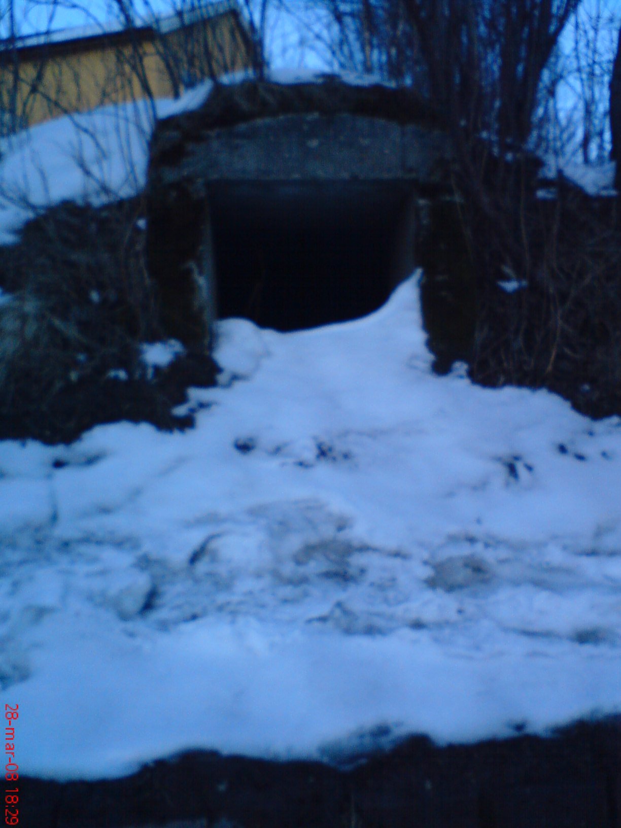 DSC00313.JPG