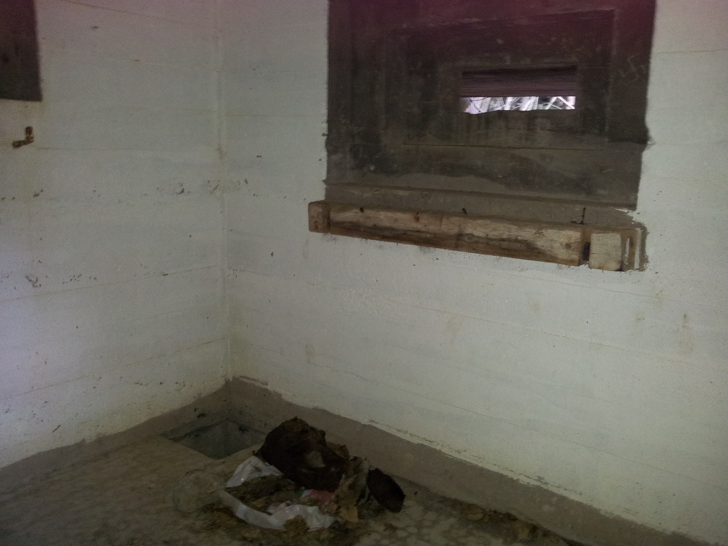 20150120_141542.jpg