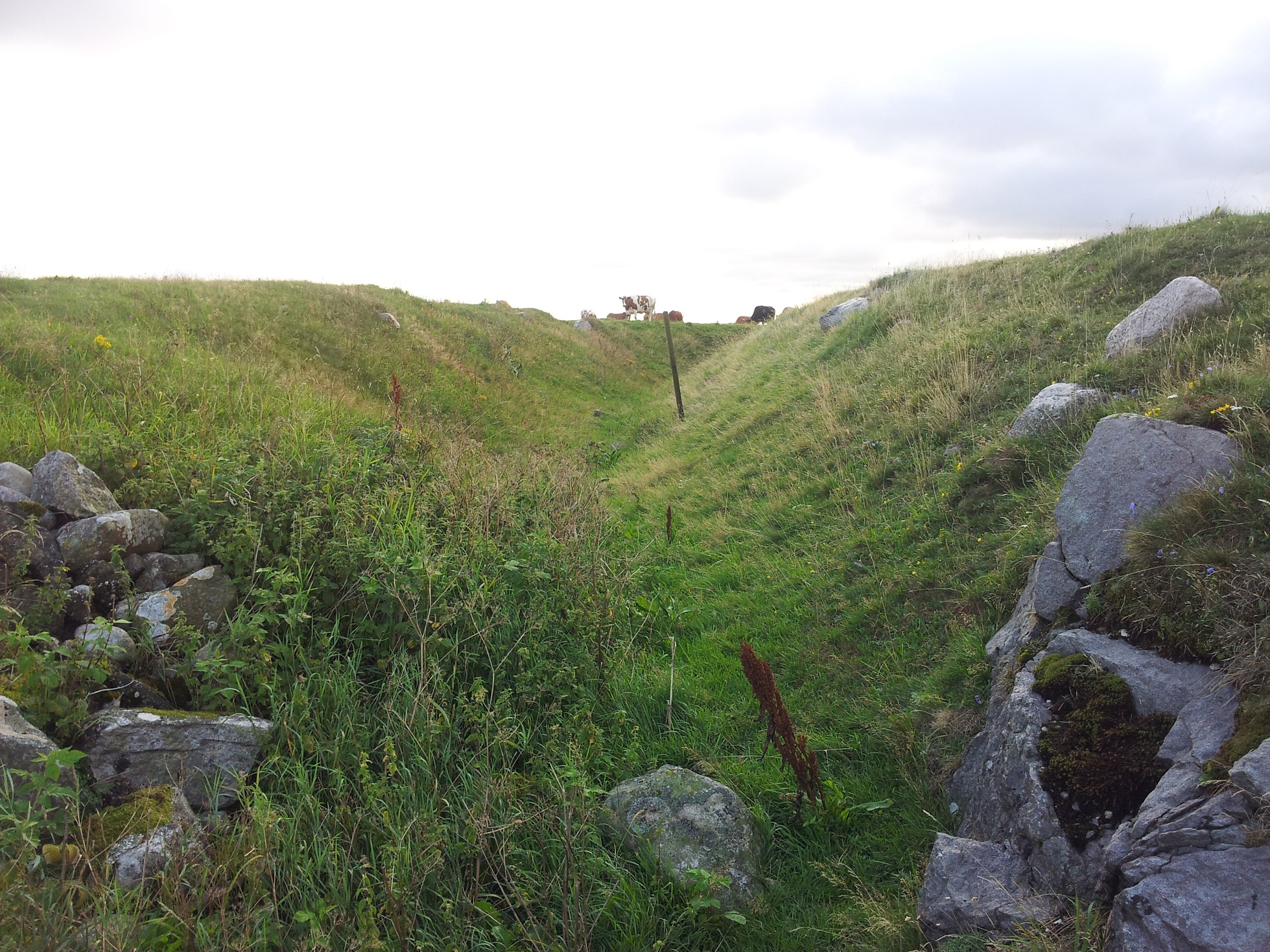 20140807_201526.jpg