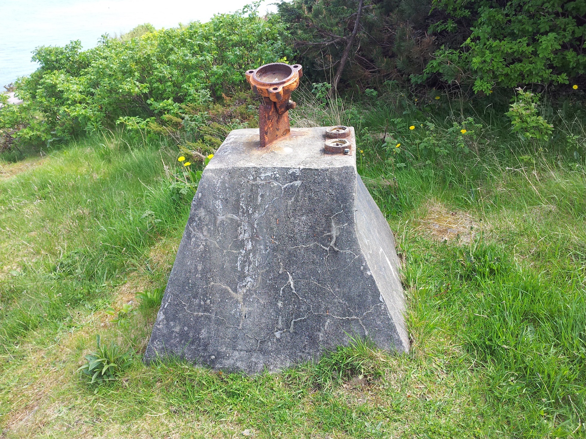 20140518_135346.jpg
