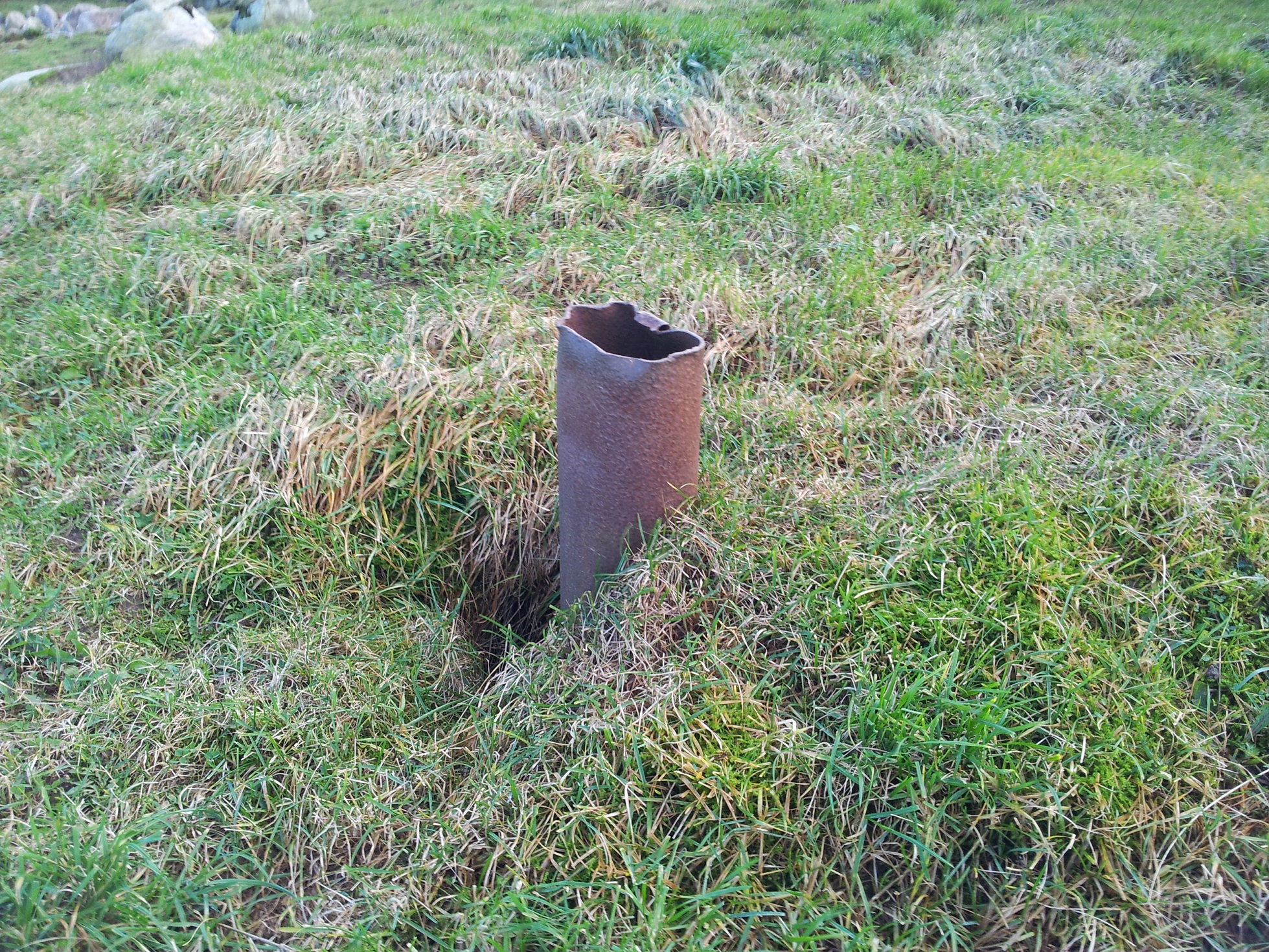 20141111_143126.jpg