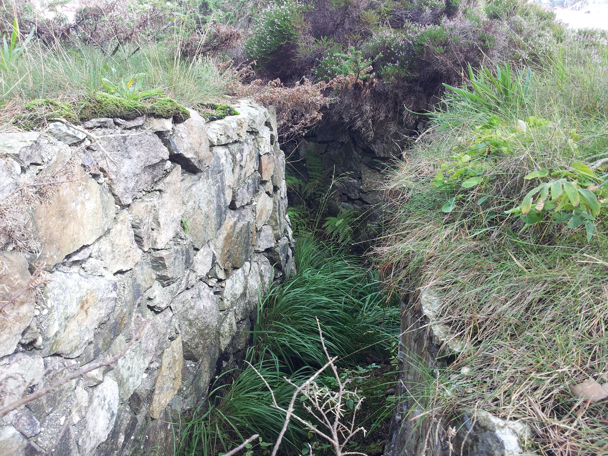 20140821_144835.jpg