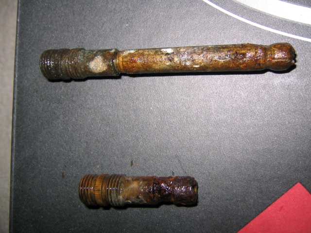 IMG_0011_scale.JPG
