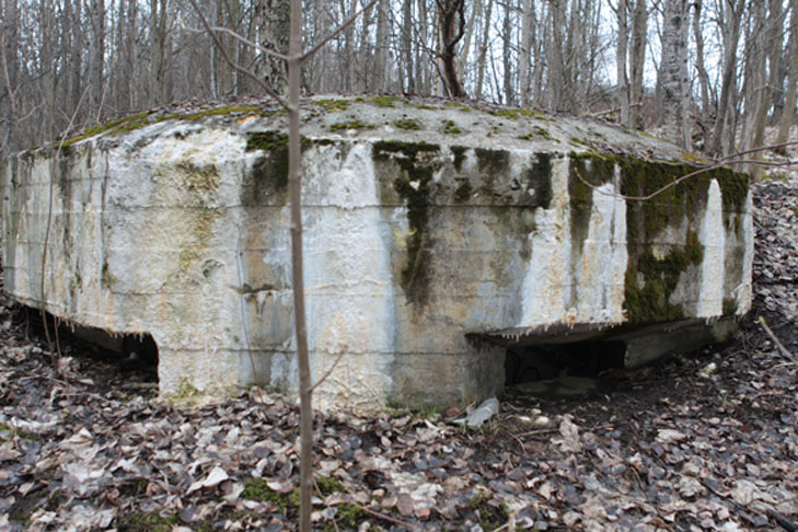 Ringve.jpg