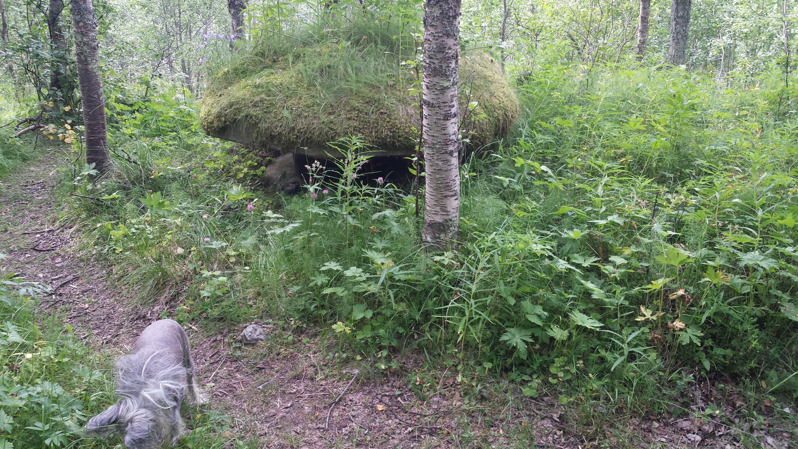 20150825_114729.jpg