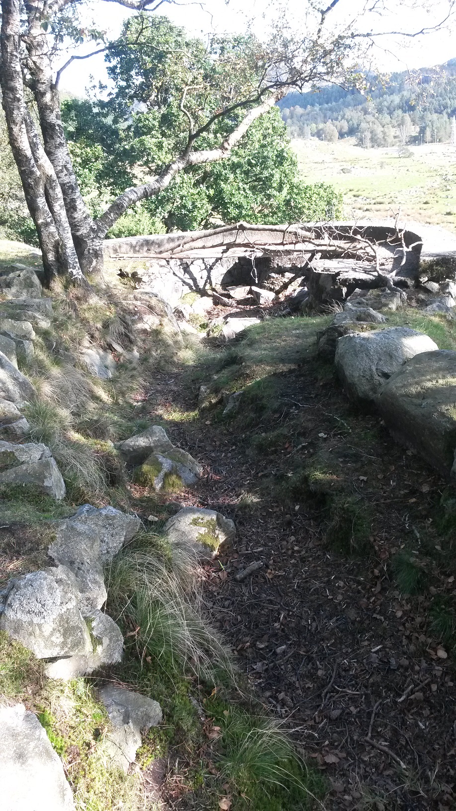 20150929_135430.jpg