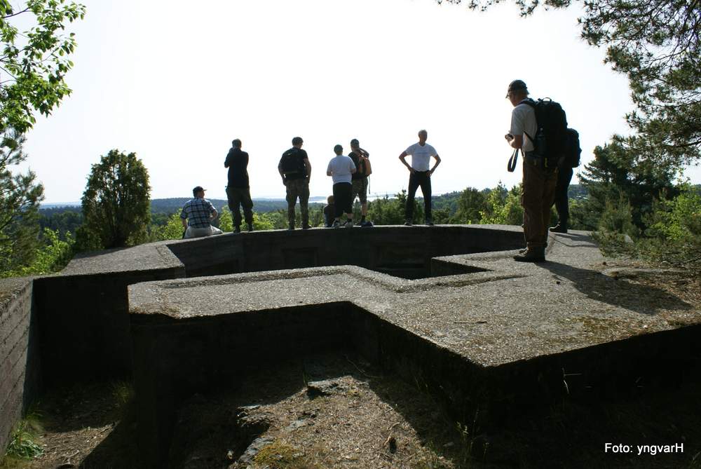 Luftvern stilling på Vardås fort