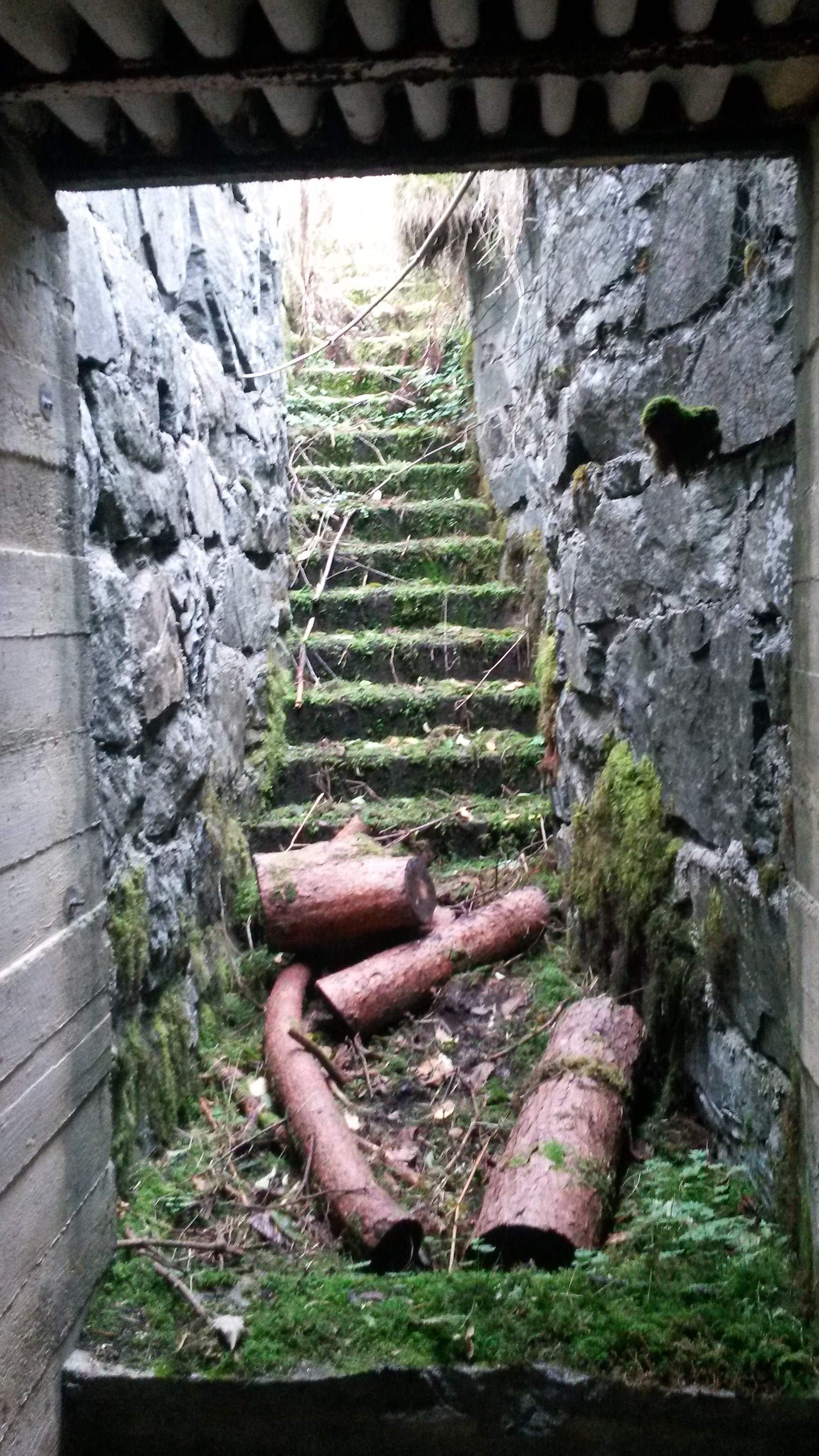 Mannskapsbunker , muligens for ammo . identisk til  type mannskapsbunker 51a i Rudi Rolfs lille bibel, men er 50m2 ikke 100m2.jpg