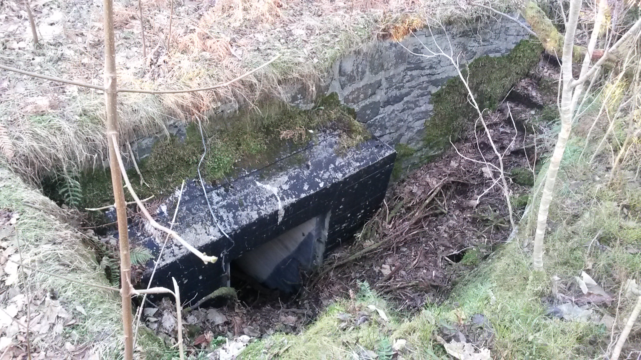 Scutz -ammo - Bunker , 2 nedganger  1 rom på  30m2.jpg