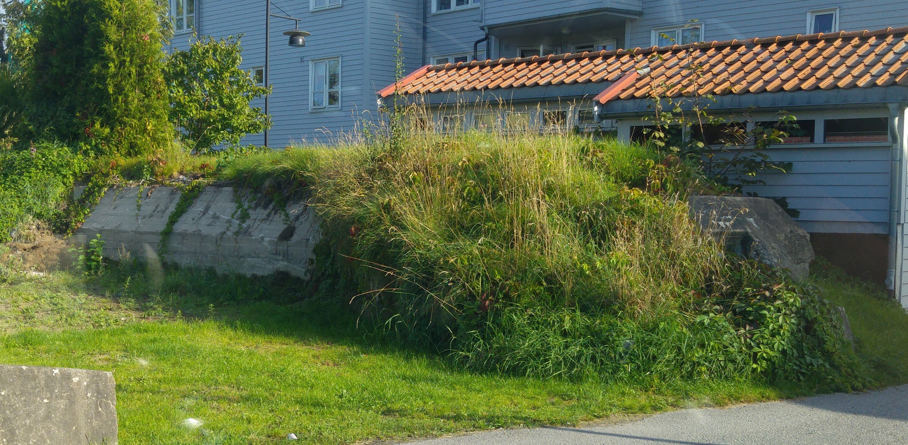 20160918_162541.jpg