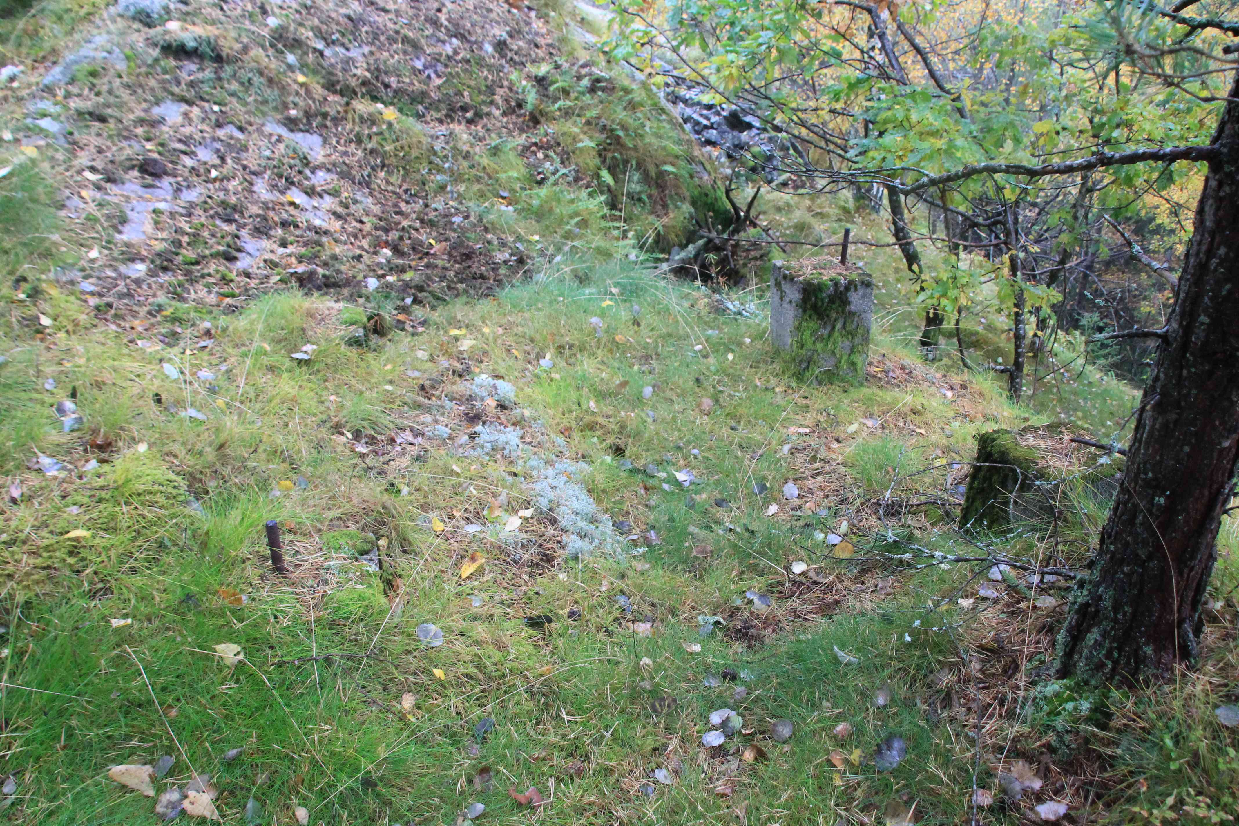 IMG_5886.jpg