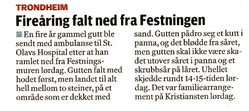 fall_festning.jpg