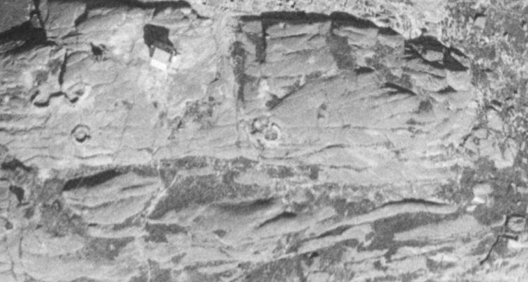 FluWa_Sol-8-1967.jpg