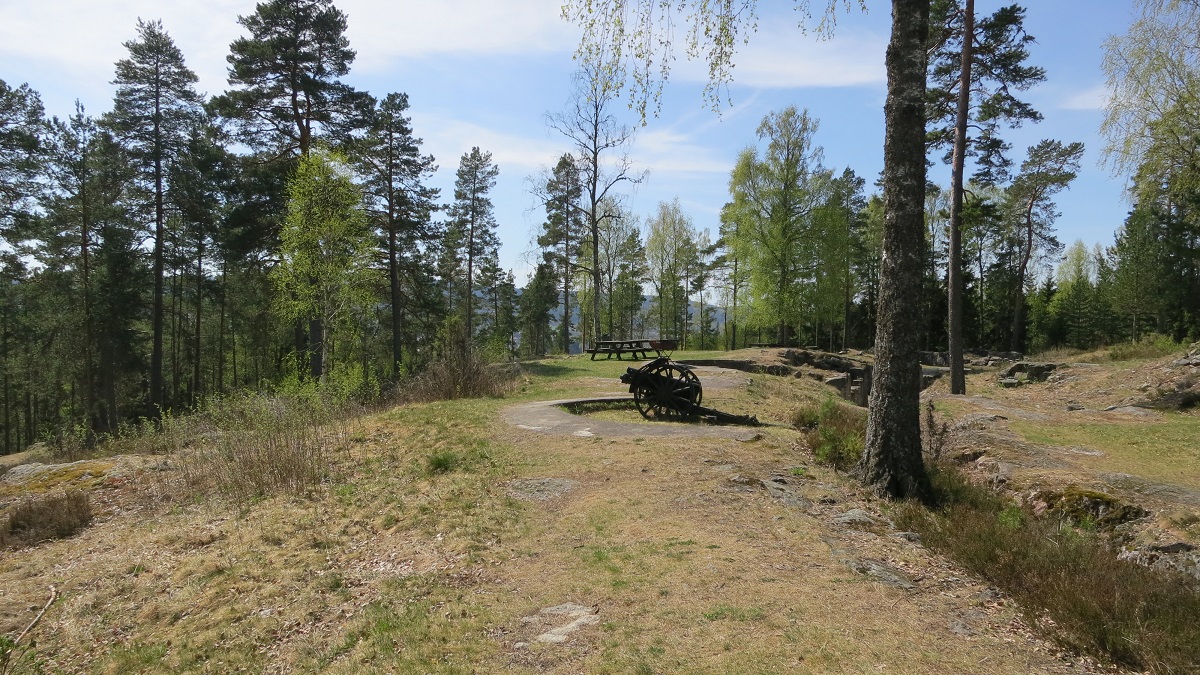 IMG_6467.JPG