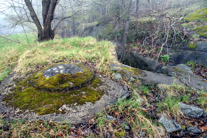 DSC05787.JPG