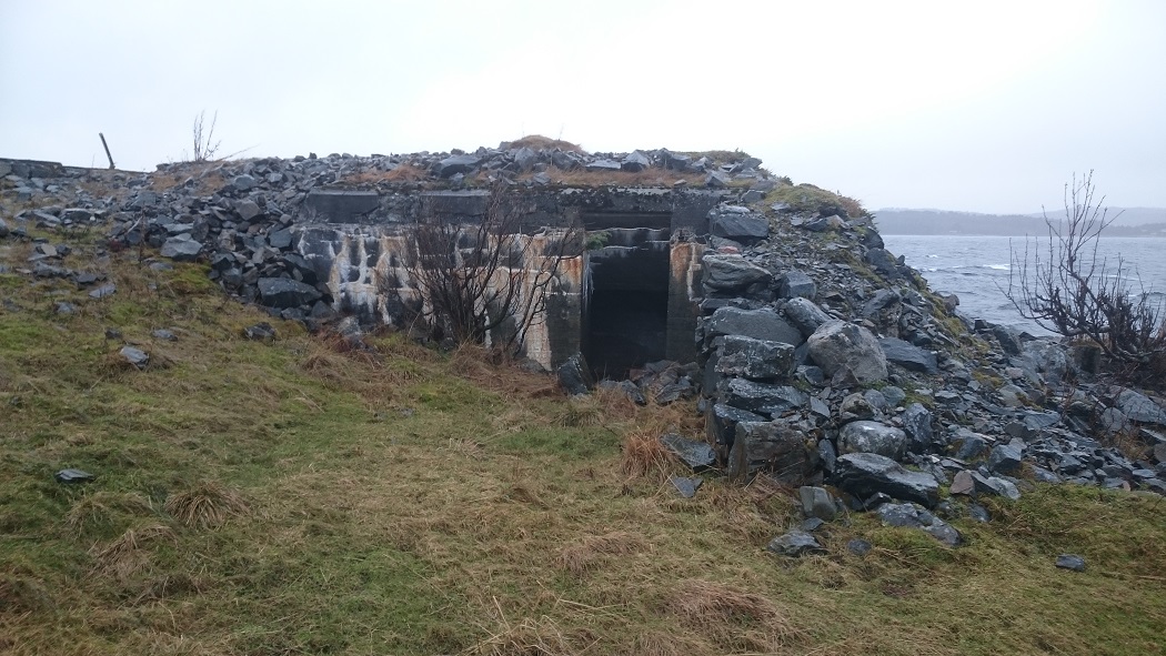 DSC_0728.jpg