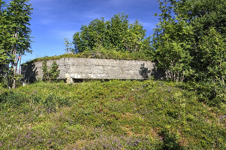 Bild20A.jpg