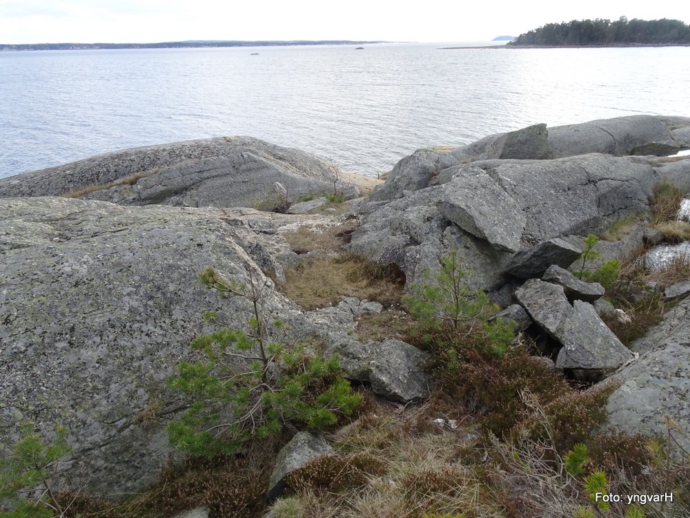 Påbegynt stilling mot øst