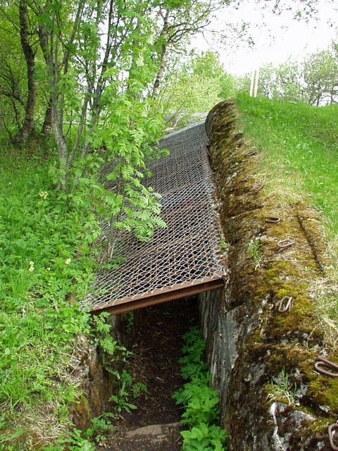 Jentofthaugen-05.jpg