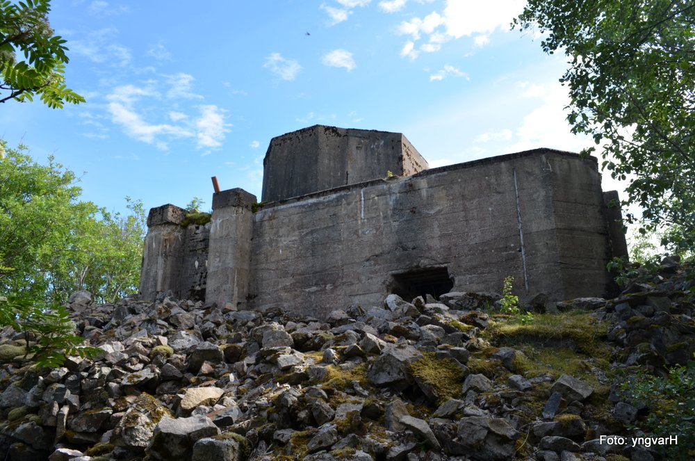 1-DSC_0365.JPG