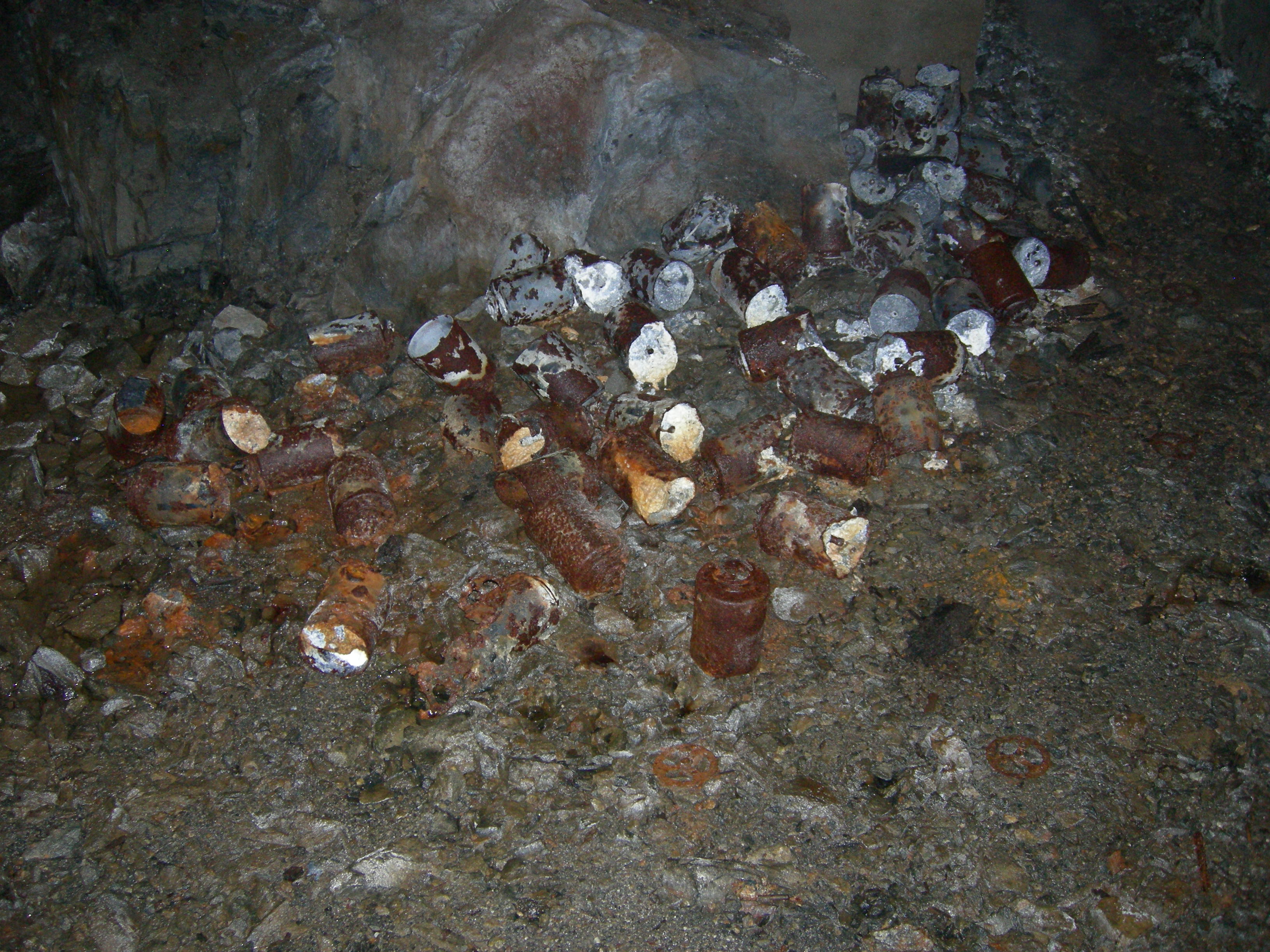 Trøgstad fort 2.JPG