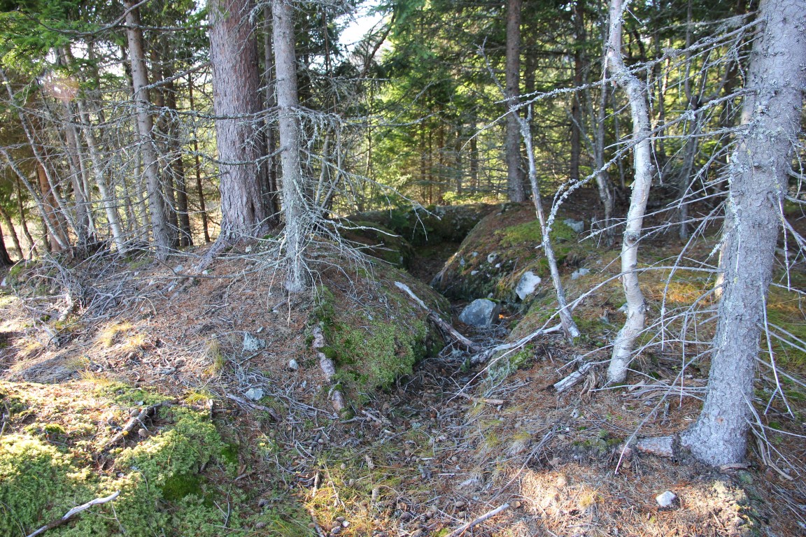 tårnhaugen (5).JPG