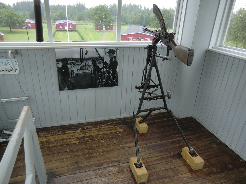 CIMG8506.JPG