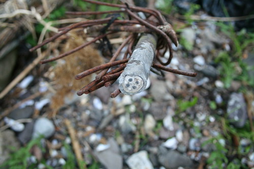 Snitt av en kabel med fire ledere.