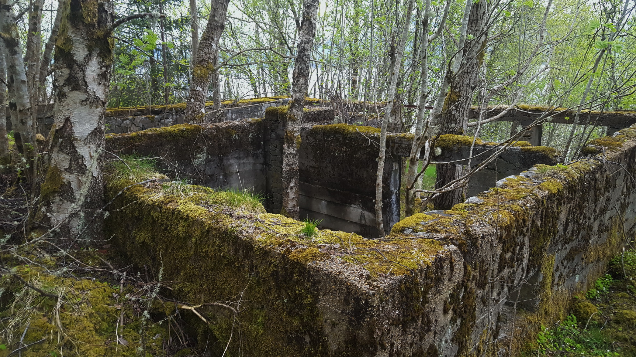 Grunnmurene til russefangeleiren/huset. Gårdshuset til &quot;Søgard&quot;, fra en annen vinkel.