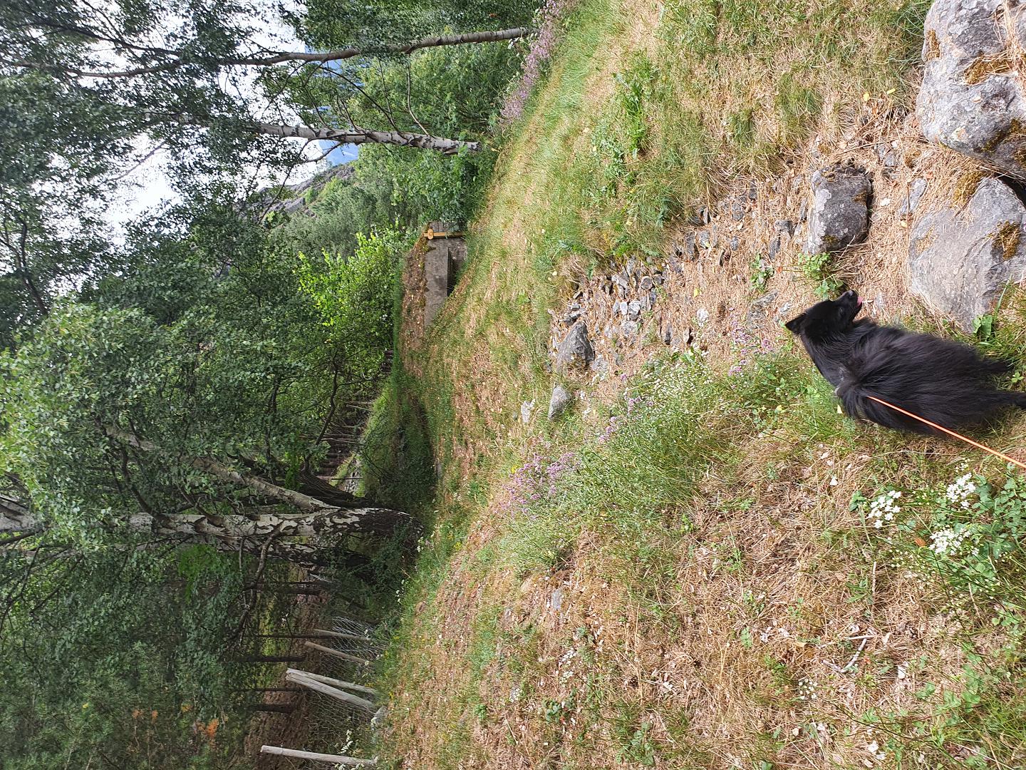 MG-bunker på toppen