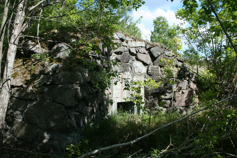 Bunk 3