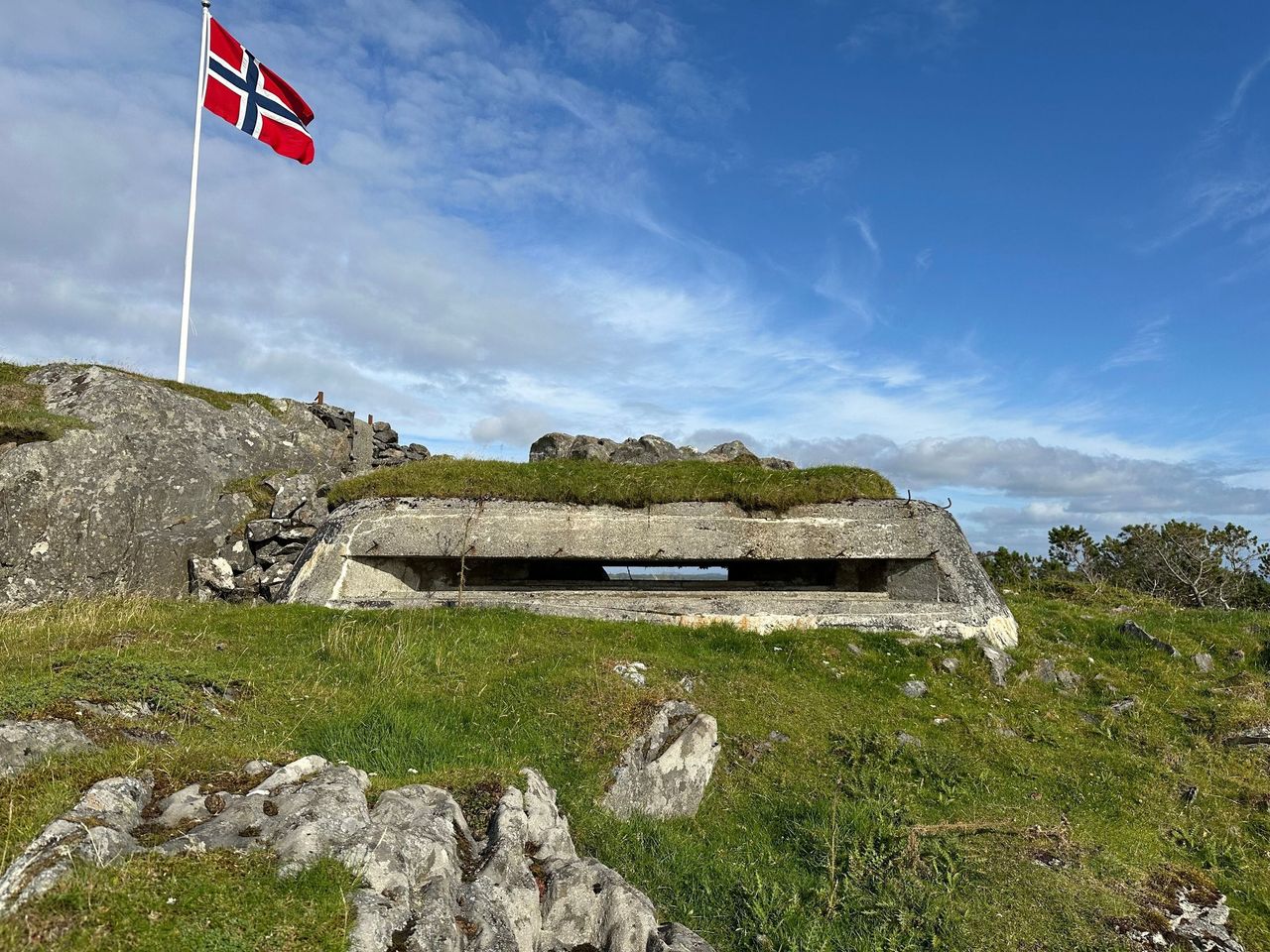 Forsøy.jpg