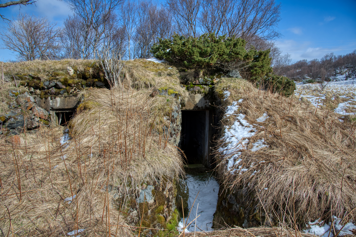 _DSC9851.jpg