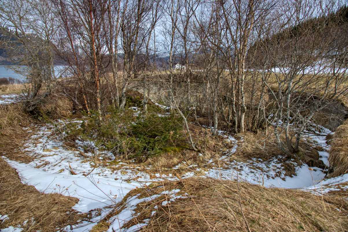 _DSC9955.jpg