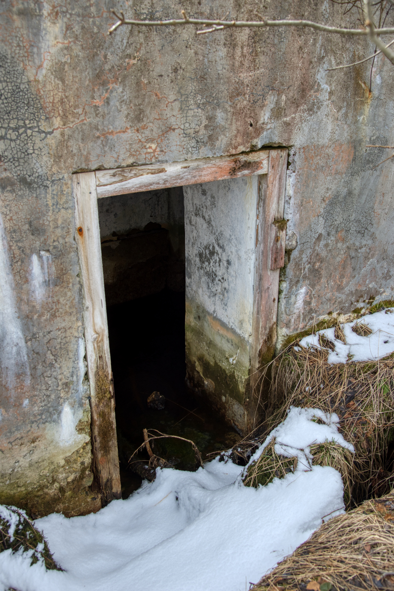 _DSC9956.jpg