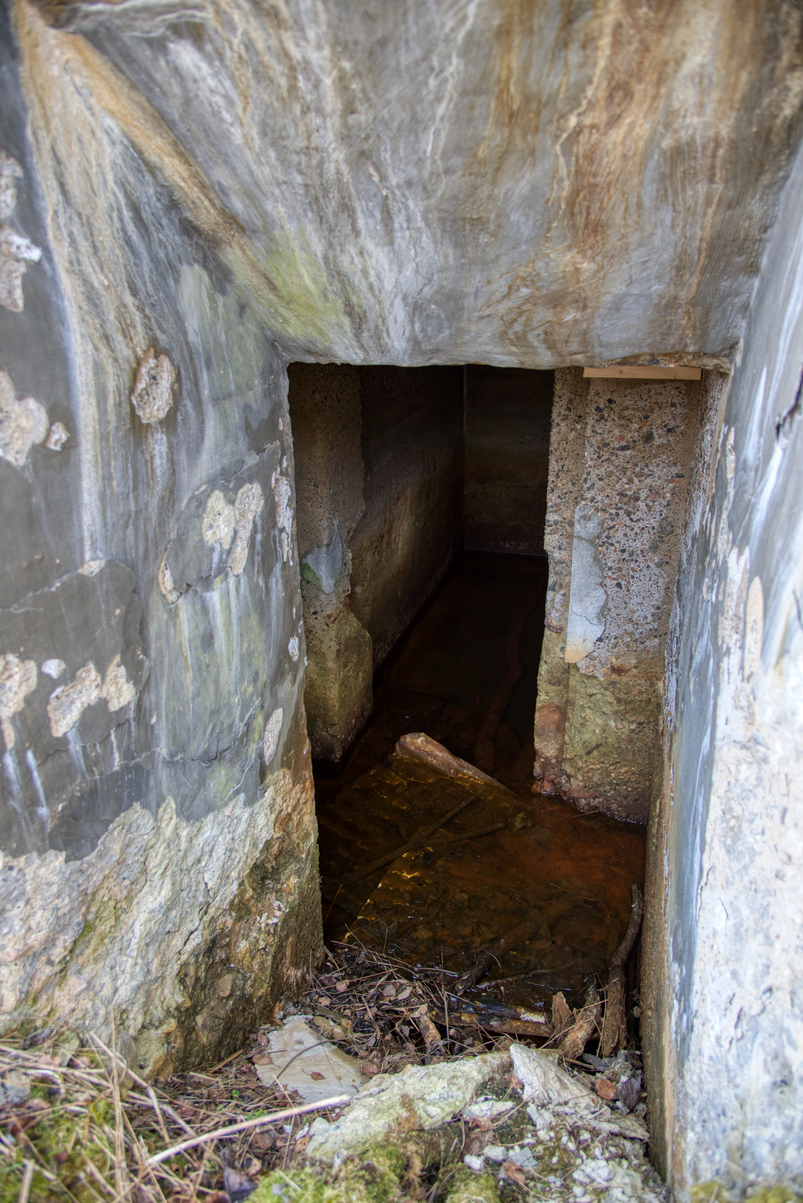 _DSC9959.jpg