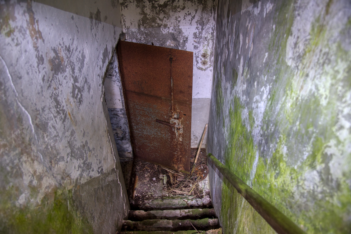 _DSC9967.jpg