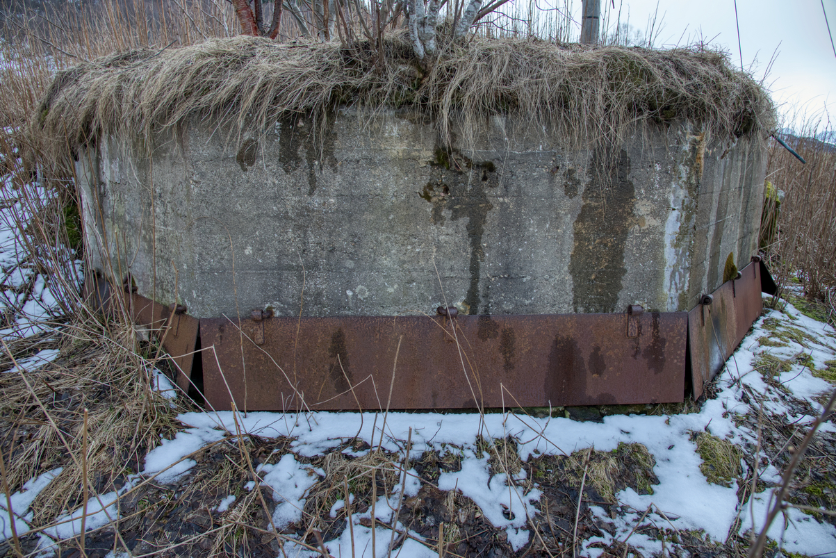 _DSC9979.jpg