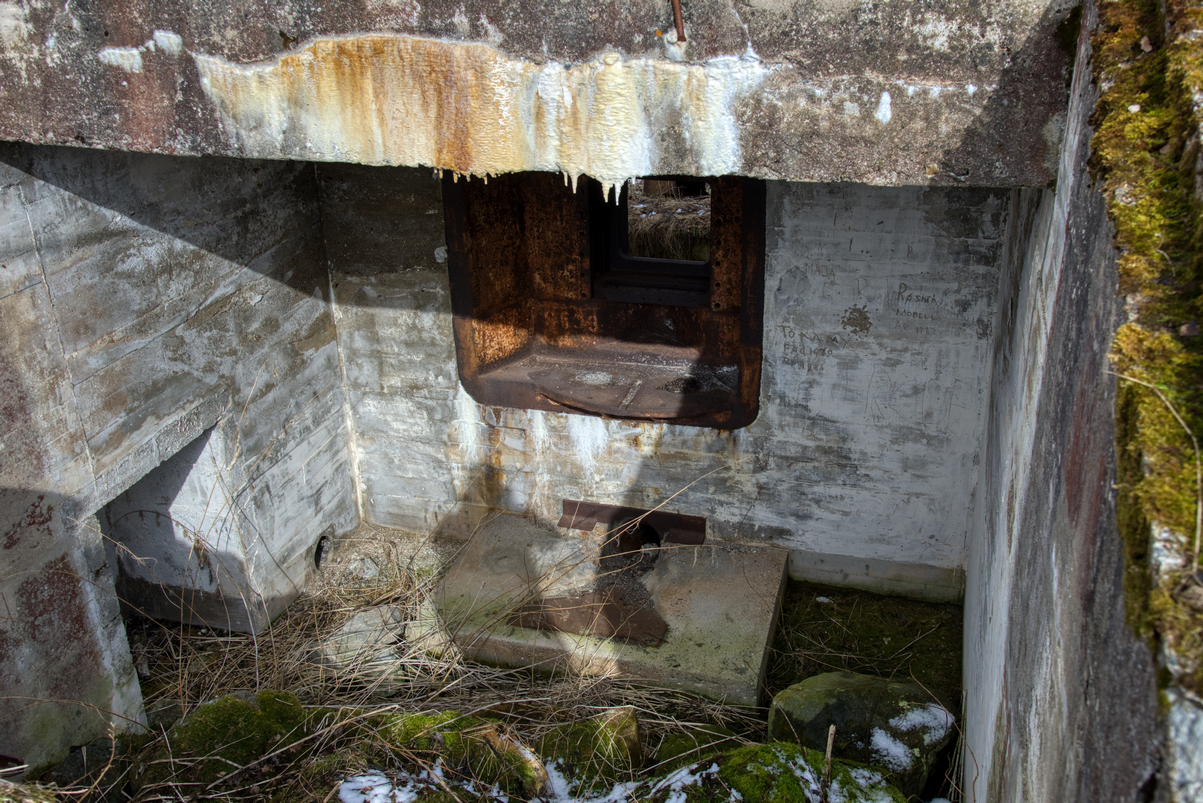 _DSC9998.jpg