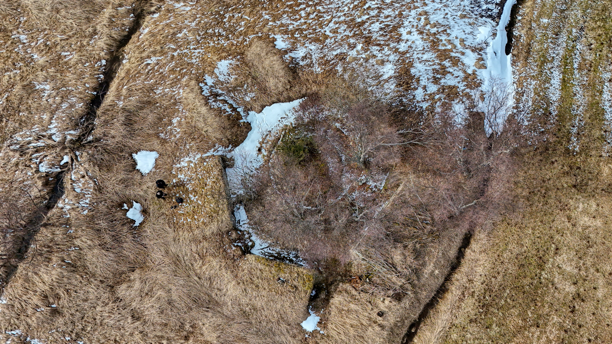 DJI_20250427150034_0002_D.jpg