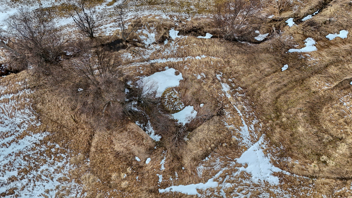 DJI_20250427150422_0010_D.jpg