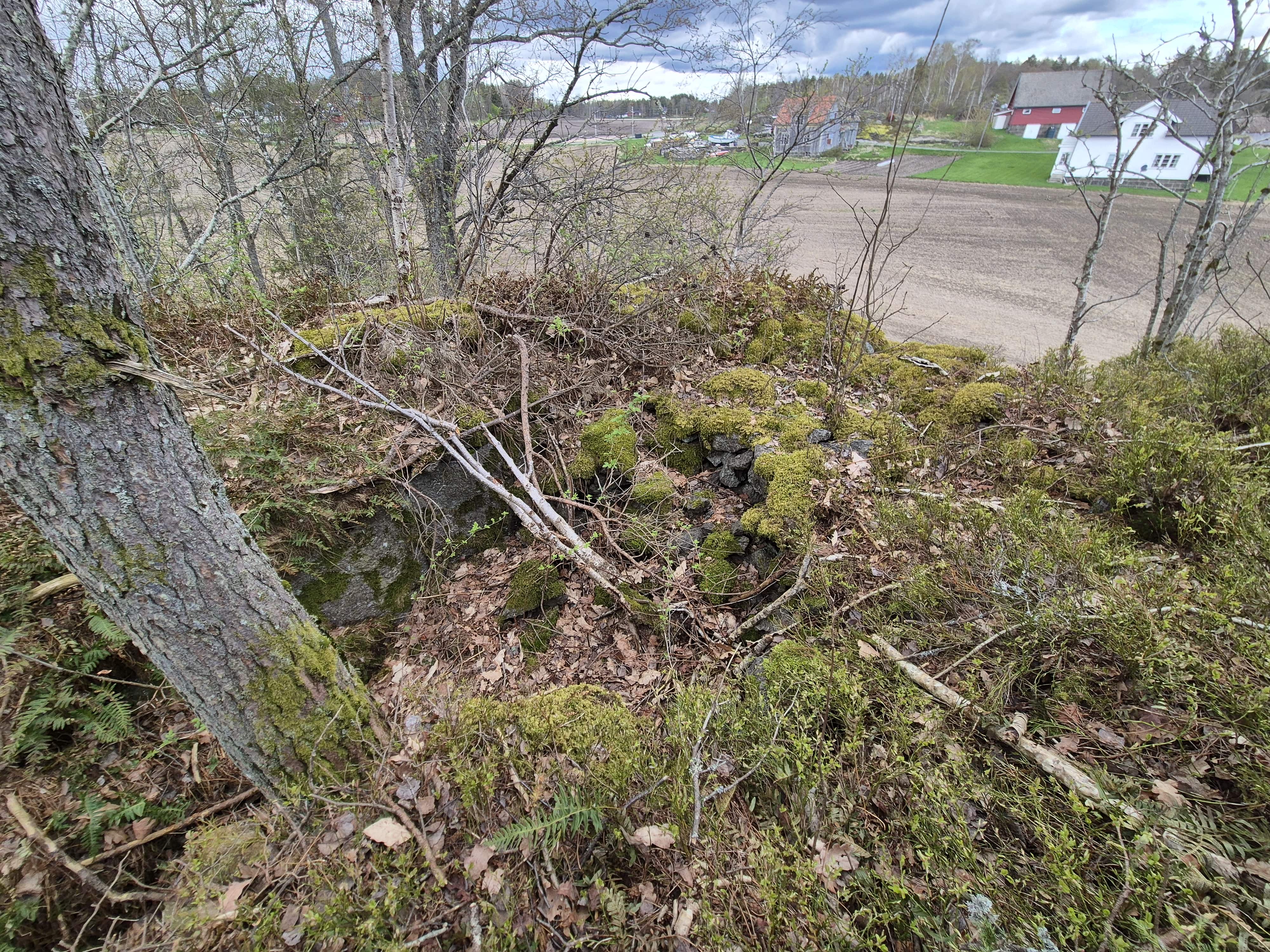20250423_133921-min.jpg