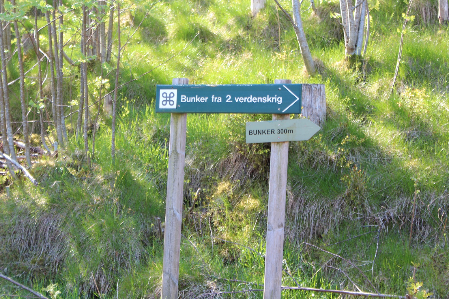 IMG_5746.JPG